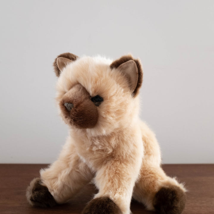 Cuddly Dolls: Himalayan Cat- Medium