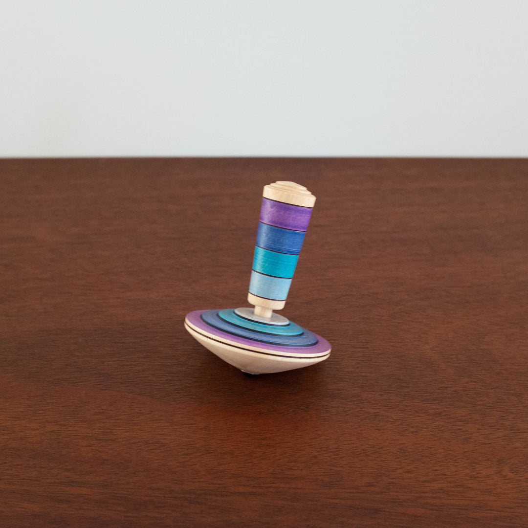 NEW Wooden My First Top Set