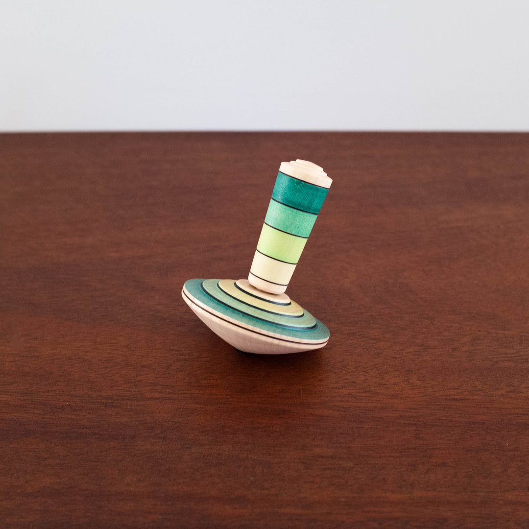 NEW Wooden My First Top Set