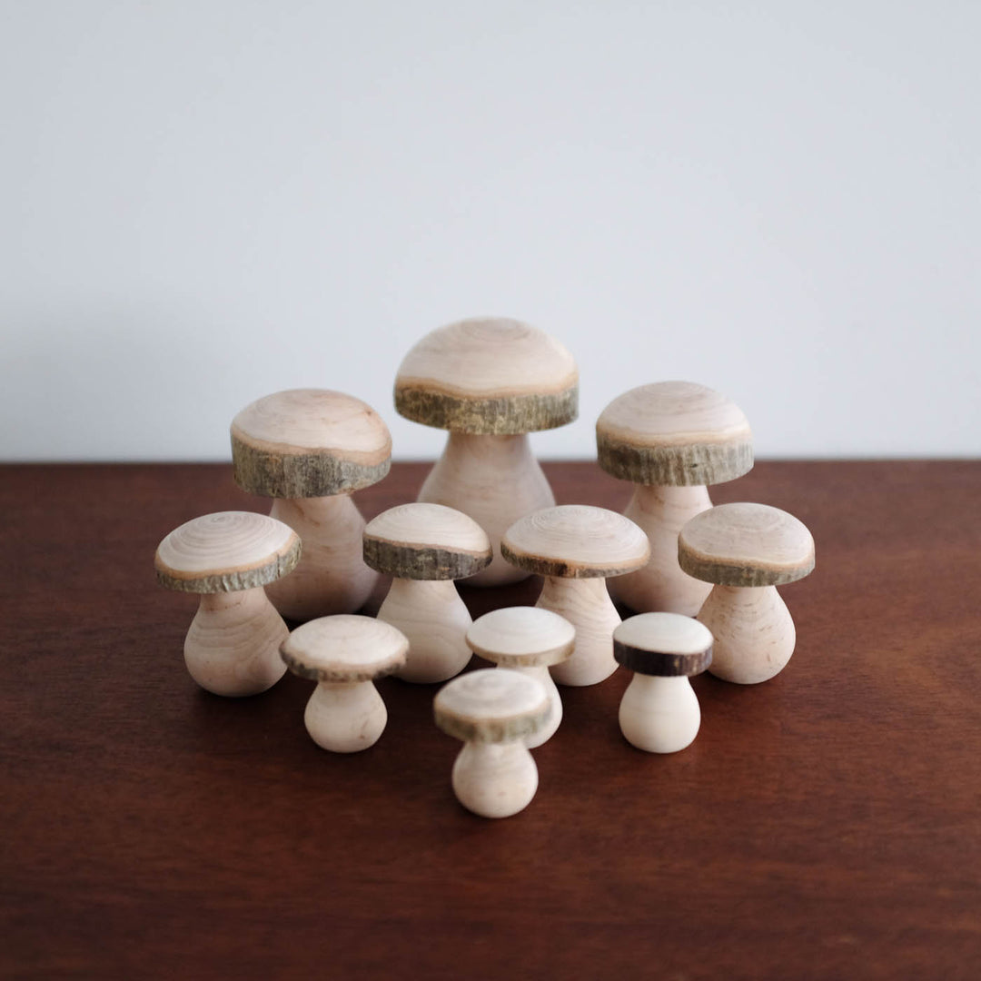 Wooden Mushroom Family Set