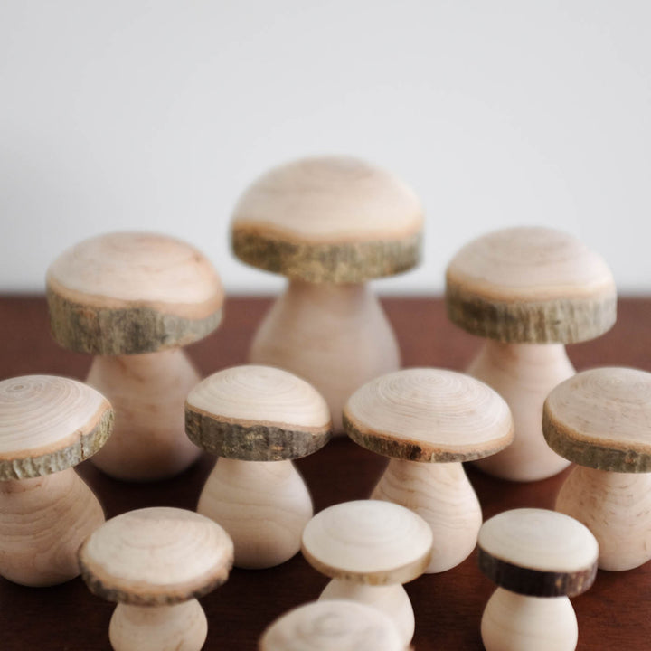 Wooden Mushroom Family Set