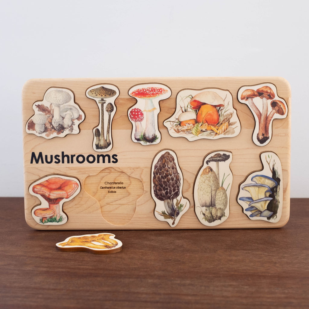 Wooden Mushroom Educational Puzzle
