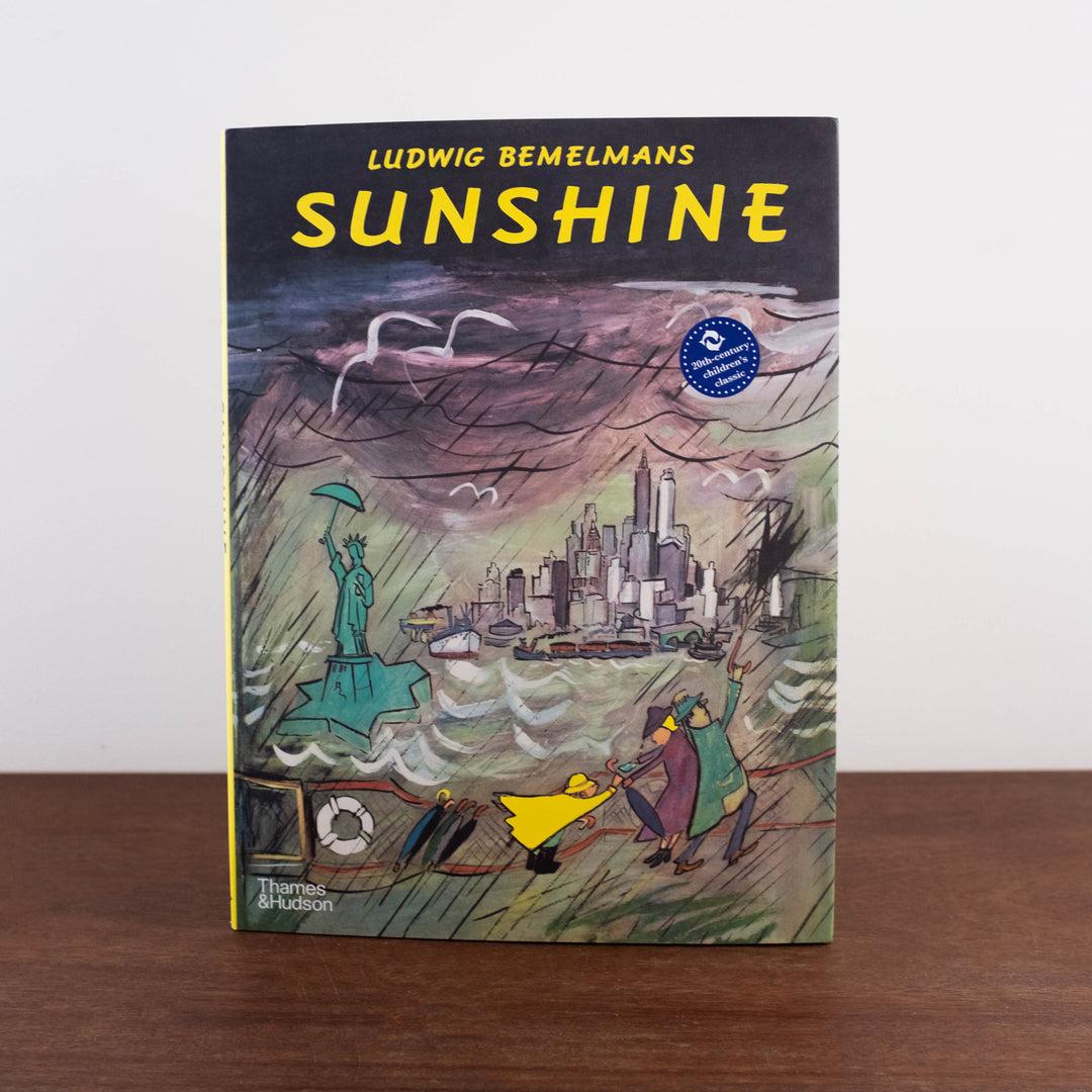 Sunshine Book: A Story About the City of New York