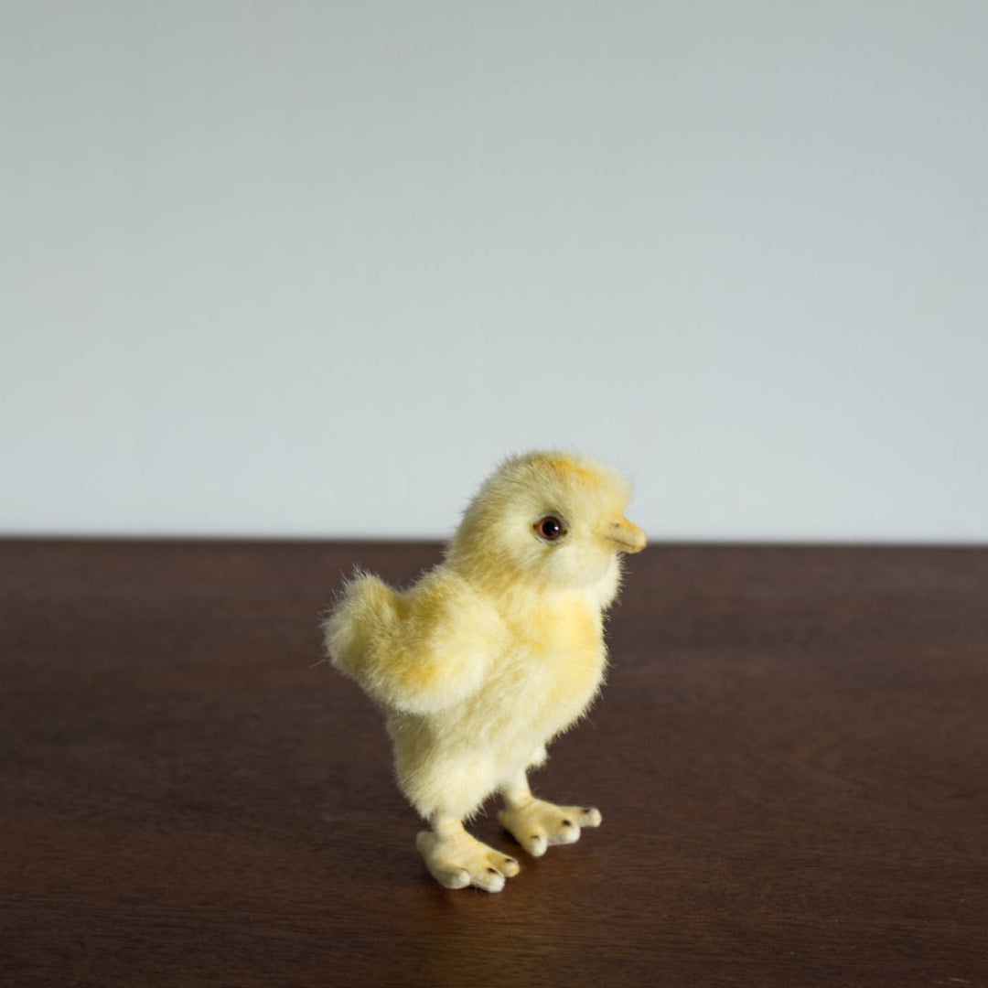 Little Chick Stuffed Animal