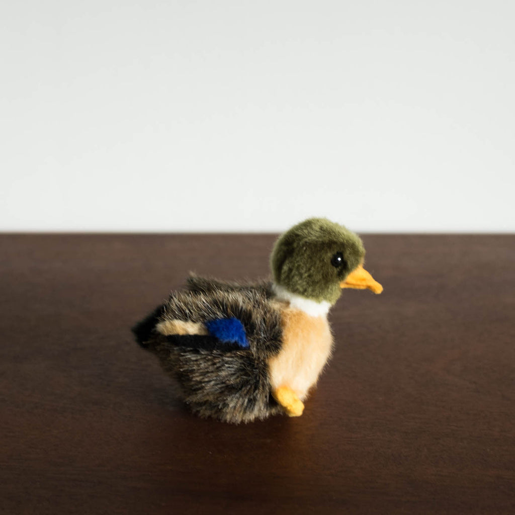 Baby Duck Stuffed Animal