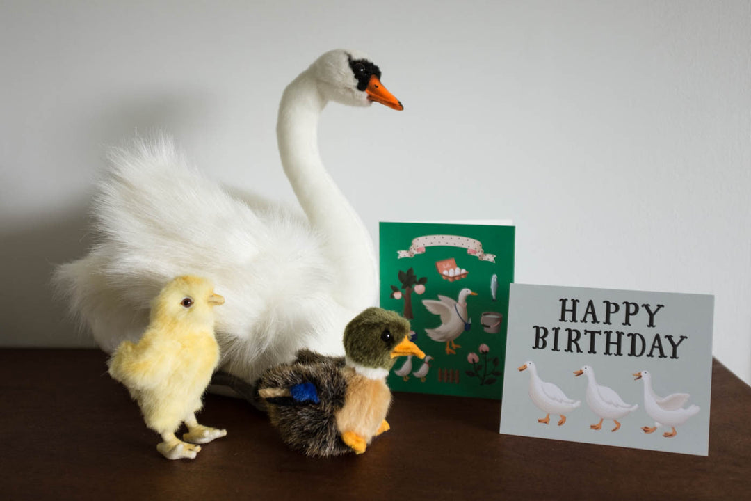 Baby Duck Stuffed Animal Box