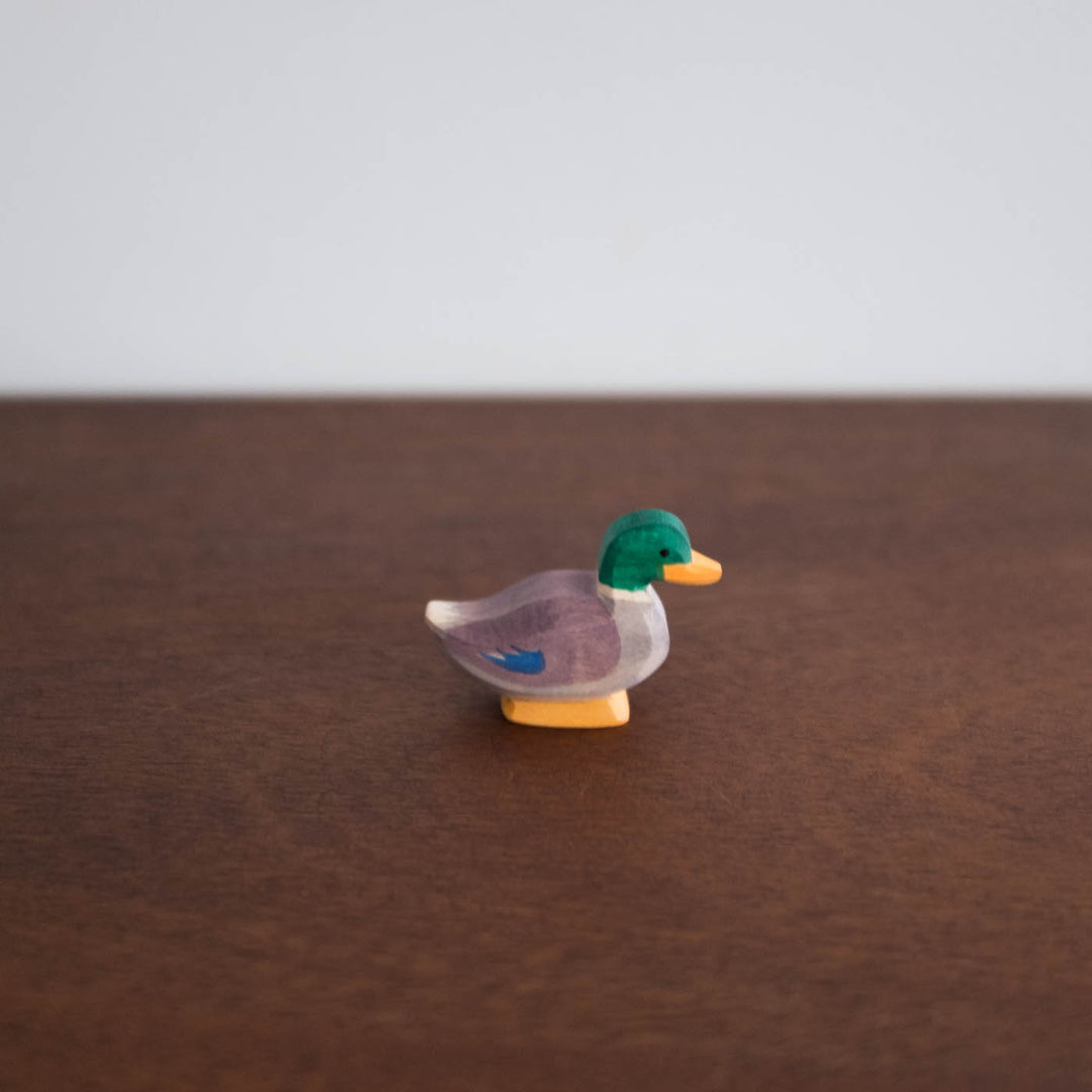 Ostheimer Drake Duck Toy