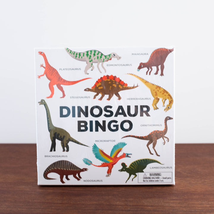 Dinosaur Bingo Game Set