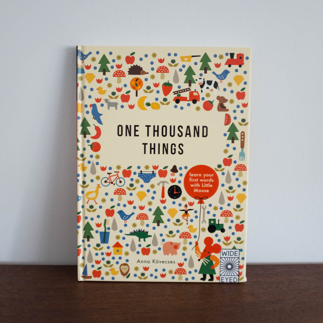 One Thousand Things Book