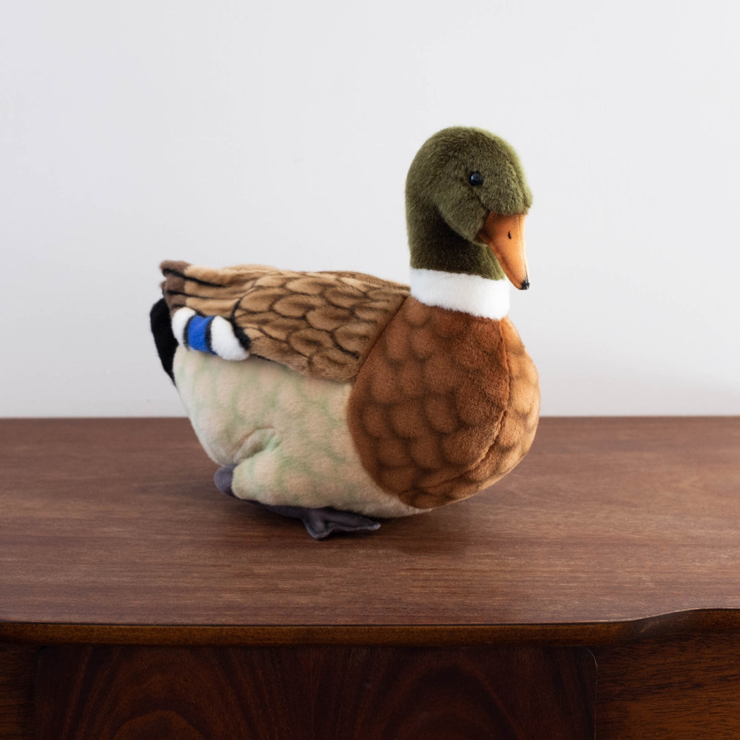 Duck Mallard Stuffed Animal