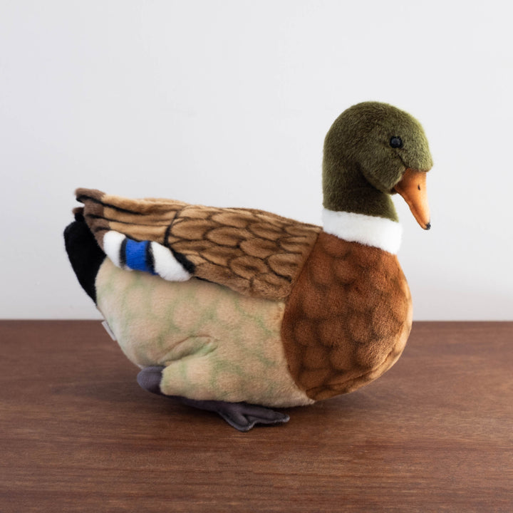 Duck Mallard Stuffed Animal