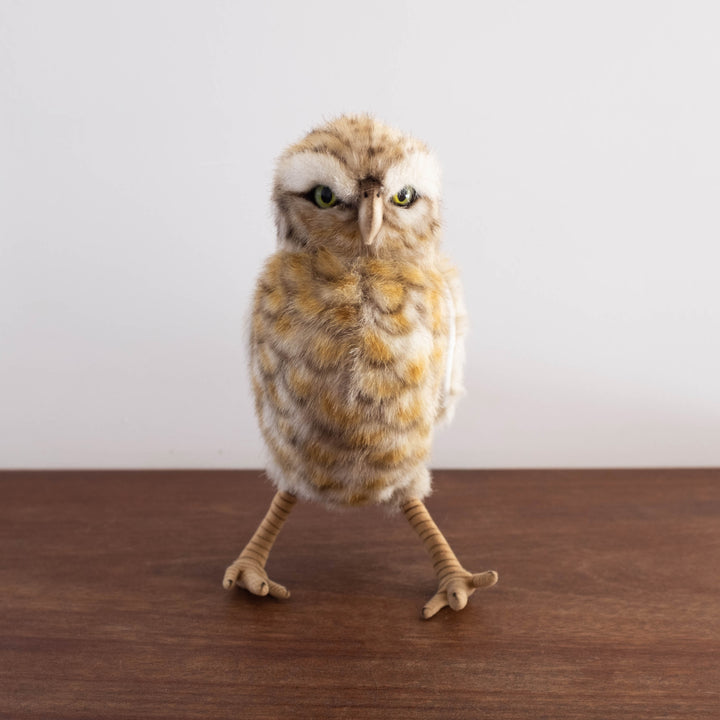 Burrow Owl Stuffed Animal