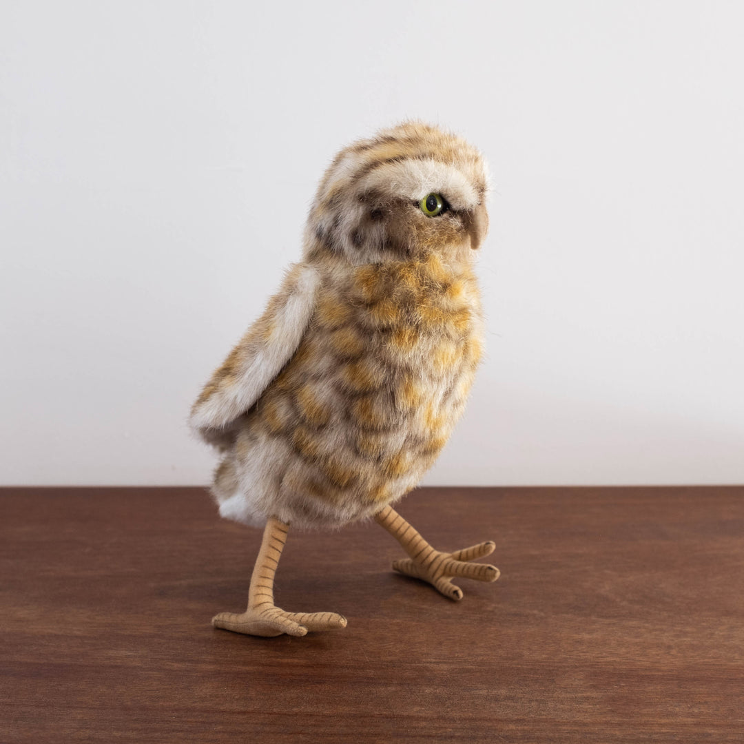 Burrow Owl Stuffed Animal