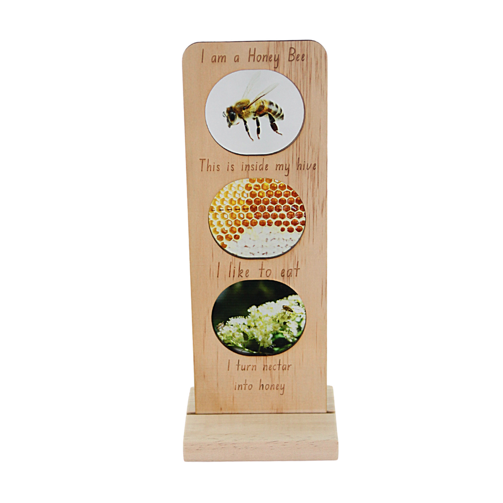 Large Educational Plaque- Honey Bee