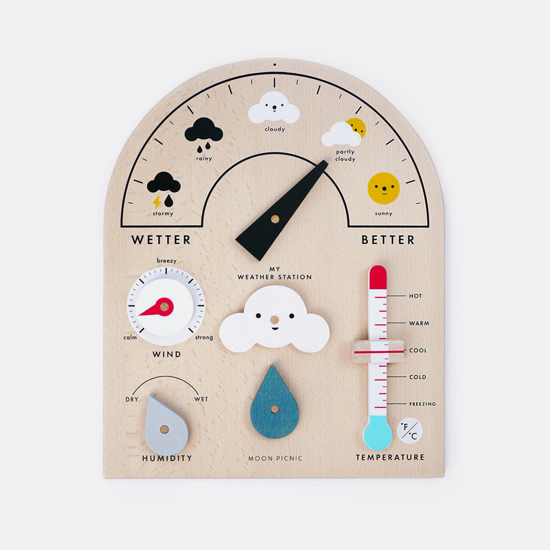 My Weather Station Toy