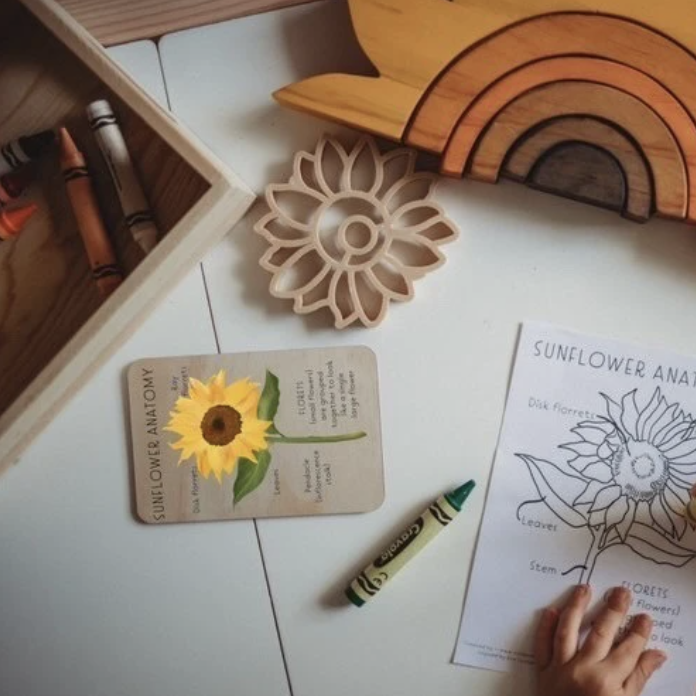 Wooden Nature Anatomy Tile- Sunflower