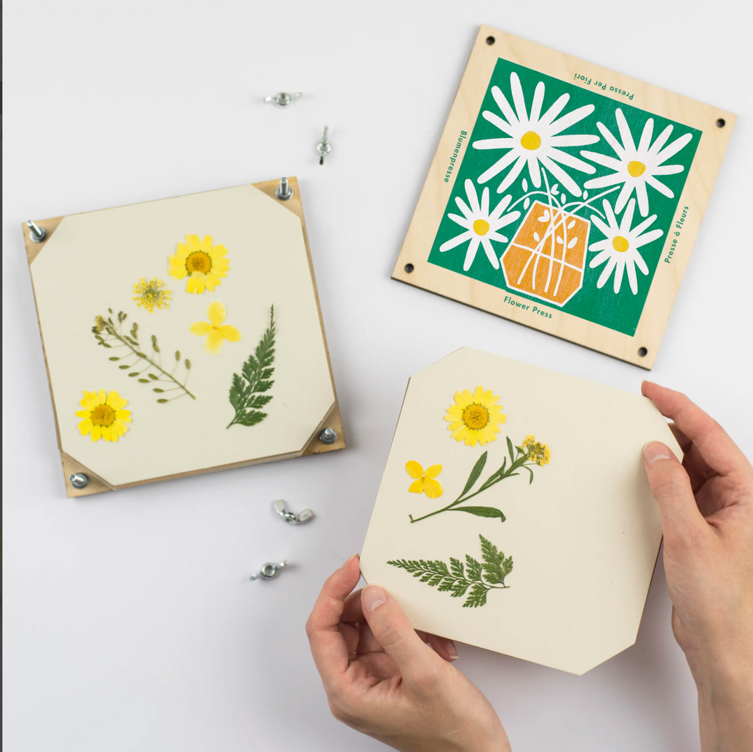 Wooden Large Flower Press Kit- Daisies