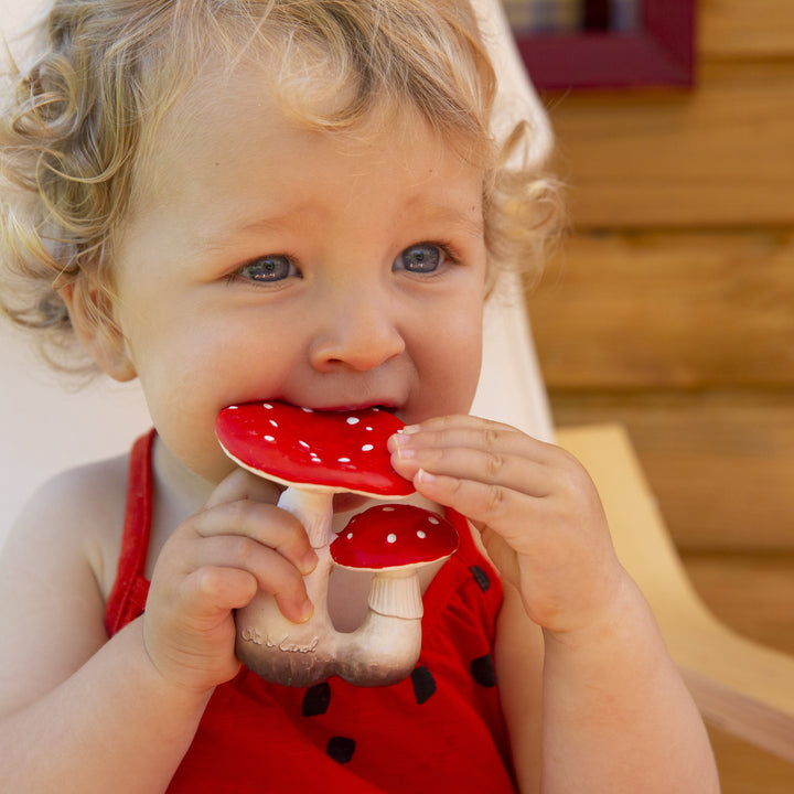 Spot the Mushroom Teether Toy
