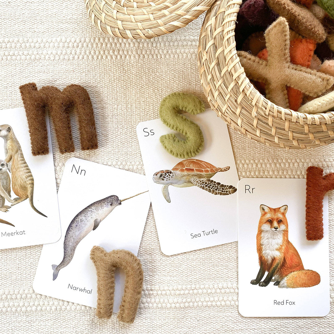 Wool Felt Alphabet Set- LOWERCASE