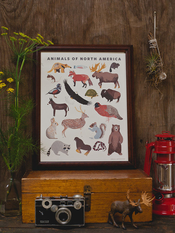 North American Animals Poster