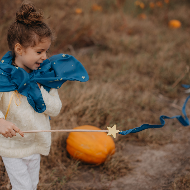 Large Silk Streamers- Stars