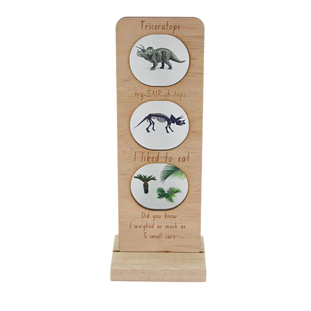 Large Educational Plaque- Triceratops
